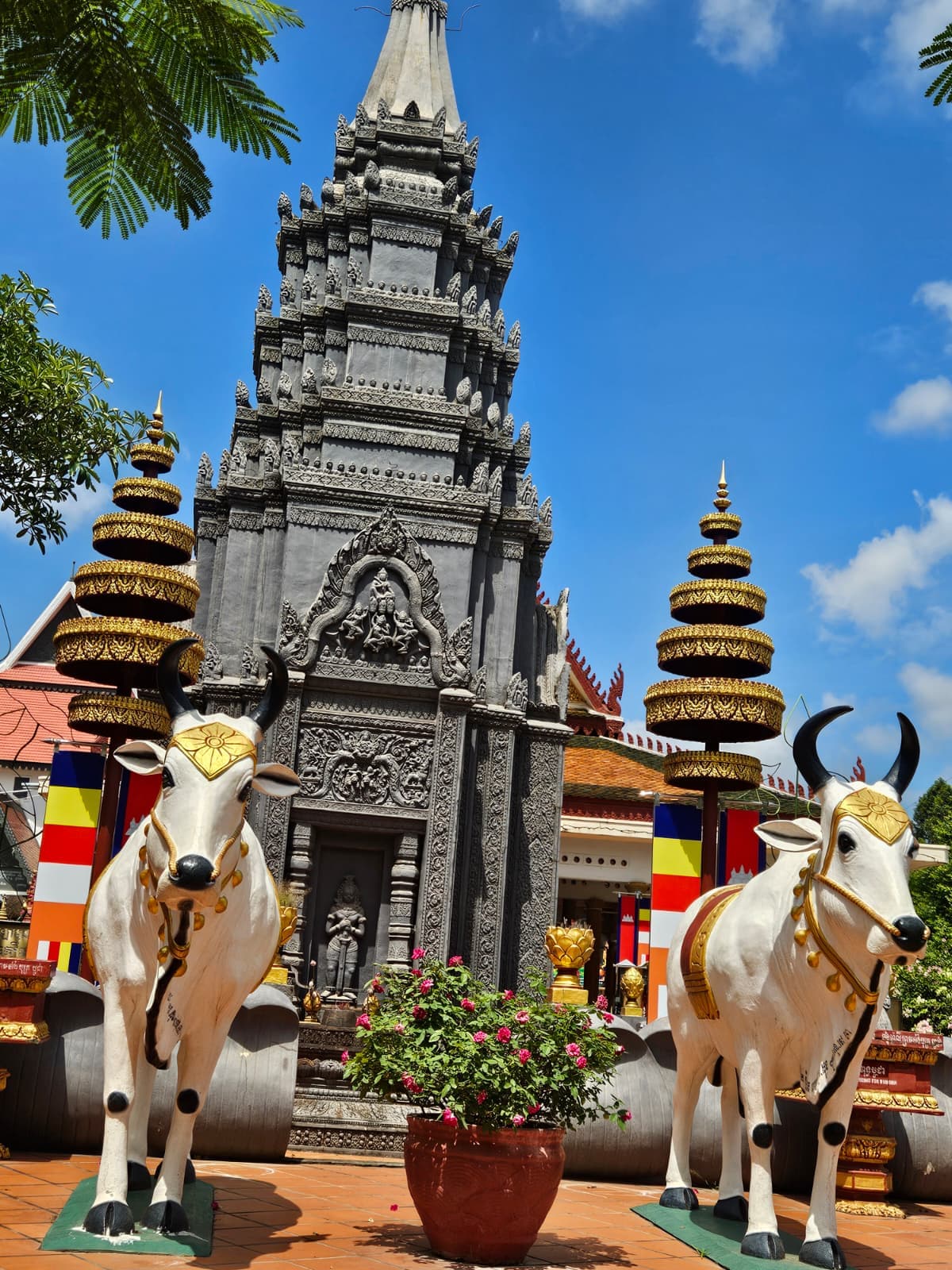Buddhist Wellness Retreat
